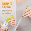 image:imageBoon Cacti Bottle Cleaning Brush Set  Includes Bottle Brush Nipple Brush Detail Brush and Straw Brush  Baby Bottle Brush Set for Bottle Drying Rack  Baby Essentials  4 Count4 Piece Set