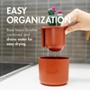 image:imageBoon Cacti Bottle Cleaning Brush Set Terracotta  4 Piece Set4 Piece Set
