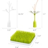 image:imageBoon Grass Countertop Drying Rack Bundle  Includes Grass Stem and Twig  Capacity for 4 Baby Bottles and Baby Accessories  Baby BottleFeeding Supplies  95 x 95 x 31 Count Pack of 1